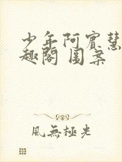 少年阿宾慧钰笔趣阁 图案