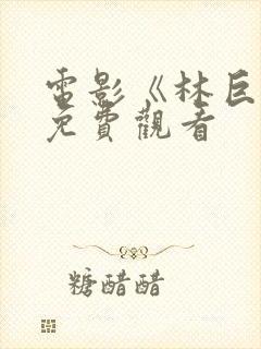 电影《林巨正》免费观看