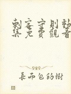 刺客守则动漫全集免费观看