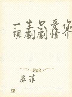 一生只爱你 电视剧剧情介绍