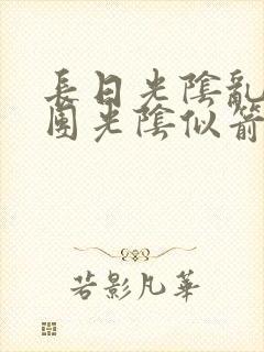 长日光阴乱作一团光阴似箭笔渺封面