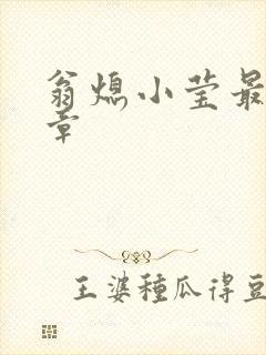 翁熄小莹最新节章封面