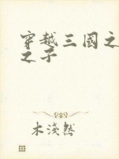 穿越三国之袁绍之子封面