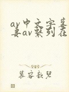 av中文字幕人妻av系列在线