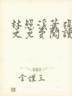 林照溪萧砚川全文免费阅读