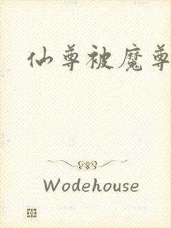 仙尊被魔尊囚禁