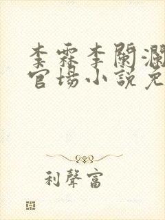 李霖李阑澜巅峰官场小说免费阅读封面