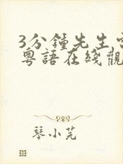 3分钟先生电影粤语在线观看