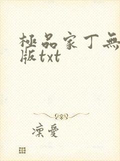极品家丁无删减版txt封面