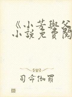 《小芳与父亲》小说免费阅读封面