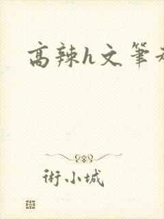 高辣h文笔趣阁