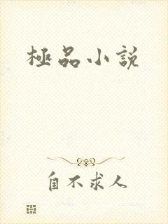 极品小说