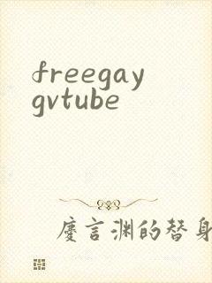 freegaygvtube封面