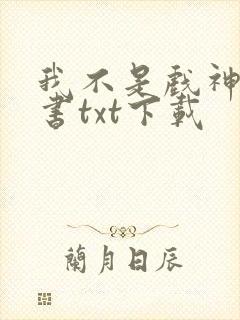 我不是戏神电子书txt下载封面