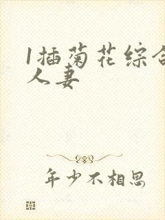 1插菊花综合网人妻