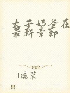 太子奶爸在花都最新章节封面