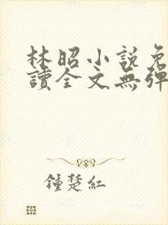 林昭小说免费阅读全文无弹窗