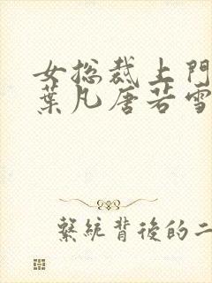 女总裁上门女婿叶凡唐若雪