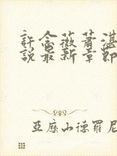 许念薇萧湛明小说最新章节免费阅读