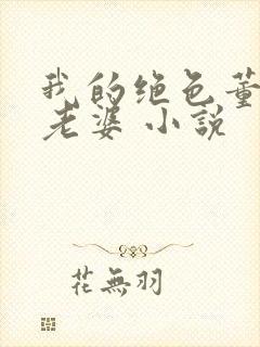 我的绝色董事长老婆 小说