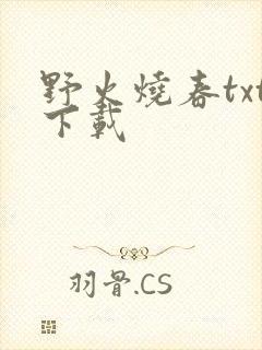野火烧春txt下载封面