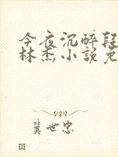 今夜沉醉段雪娇林杰小说免费阅读