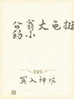 公翁大龟挺进我的小