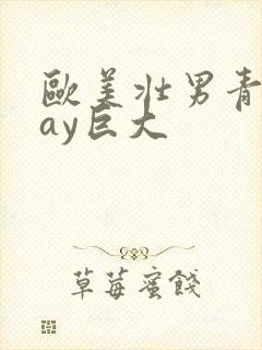 欧美壮男青年gay巨大