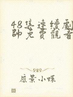 48集连续剧少帅免费观看高清封面