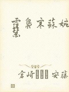 霍枭寒苏婉苏晓慧封面