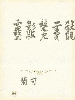 电影双子杀手完整版免费观看封面