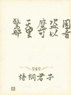 惊天魔盗团2在哪里可以看