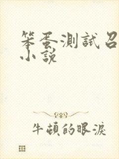 笨蛋测试召唤兽小说封面