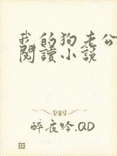 我的狗老公在线阅读小说