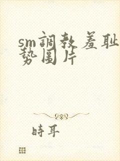 sm调教羞耻姿势图片