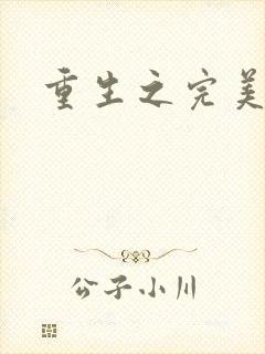 重生之完美一生封面