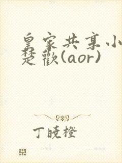 皇家共享小公主楚欢(aor)