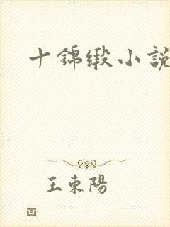 十锦缎小说封面