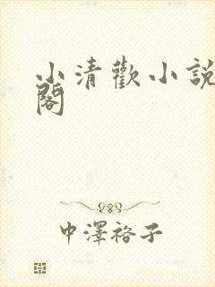 小清欢小说笔趣阁