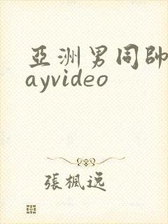 亚洲男同帅哥gayvideo