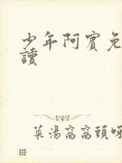 少年阿宾免费阅读