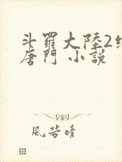 斗罗大陆2绝世唐门 小说