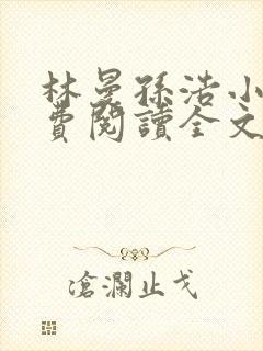 林曼孙浩小说免费阅读全文最新章节