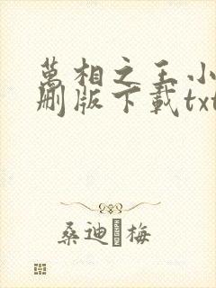 万相之王小说未删版下载txt