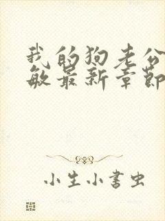 我的狗老公张淑敏最新章节免费阅读