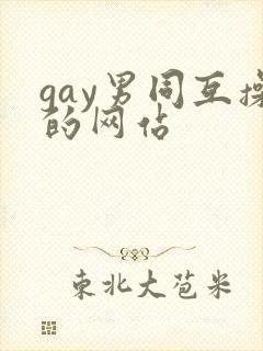 gay男同互操的网站