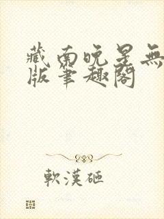 藏南晚星无删减版笔趣阁
