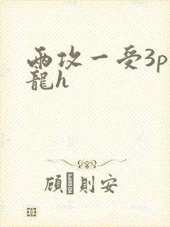 两攻一受3p双龙h