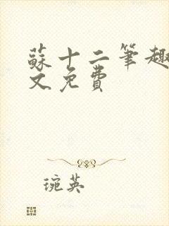 苏十二笔趣阁全文免费