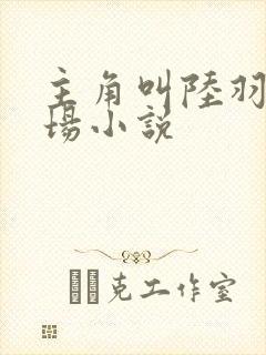 主角叫陆羽的官场小说